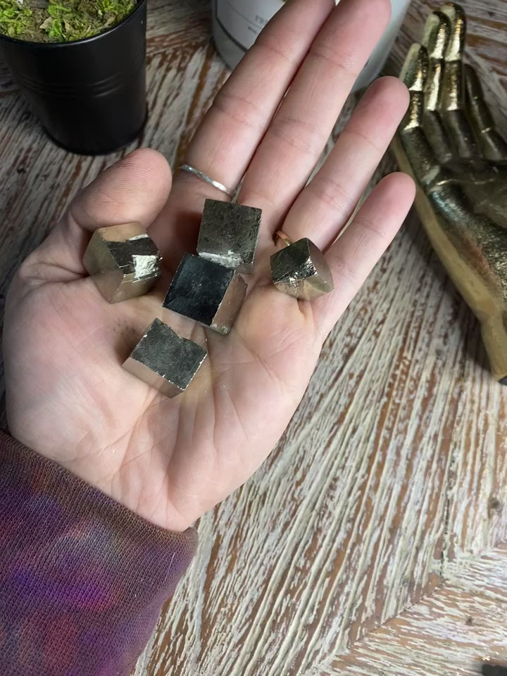 Pyrite Mini Turtles – Divine Crystal Heart